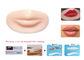 Silicone Durable Permanent Makeup Practice Skin For Lips Training 4D Module
