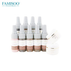 15ml/Bottle Famisoo Permanent Makeup Kit Liquid Pigment Set For Eyebrow