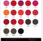 Color Positive Micro Pigment Ink For Lips / Eyebrow / Eyeliner 19 Colors Optional